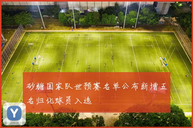 砂糖国家队世预赛名单公布新增五名归化球员入选