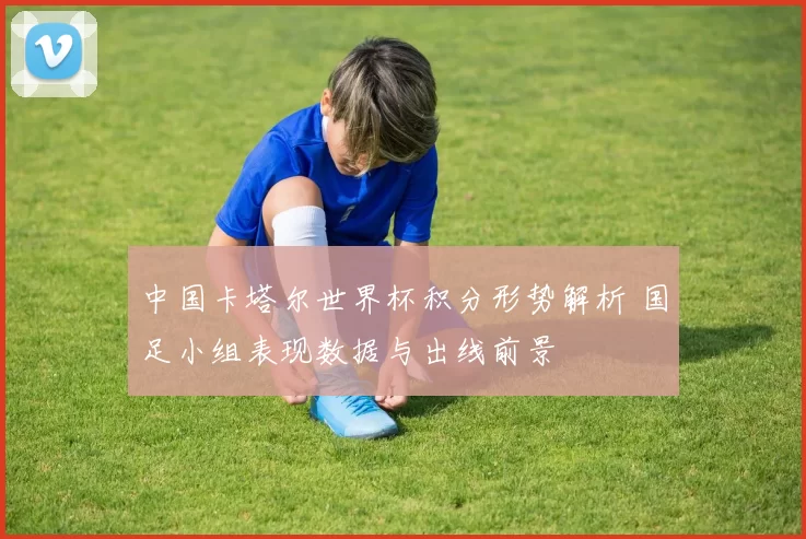 中国卡塔尔世界杯积分形势解析 国足小组表现数据与出线前景