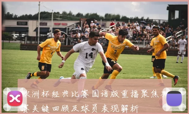 欧洲杯经典比赛国语版重播聚焦决赛关键回顾及球员表现解析