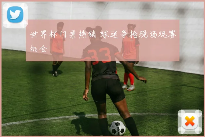 世界杯门票热销 球迷争抢现场观赛机会