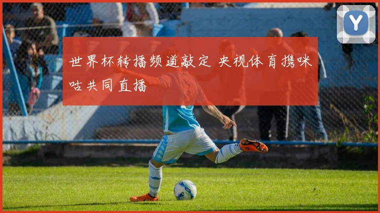 世界杯转播频道敲定 央视体育携咪咕共同直播