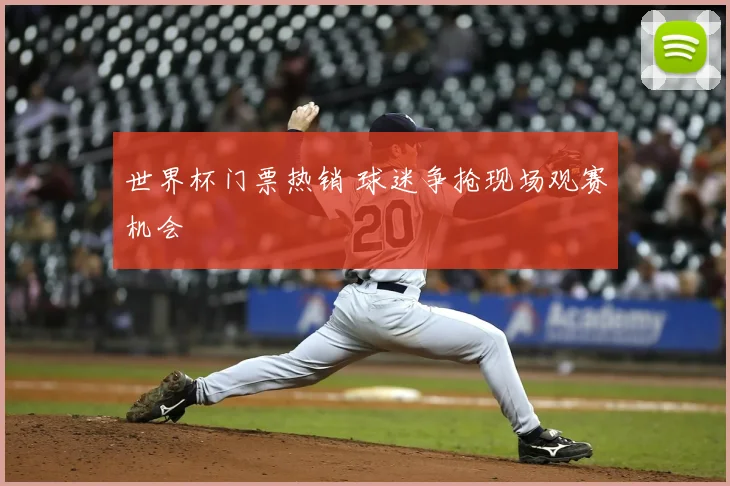 世界杯门票热销 球迷争抢现场观赛机会