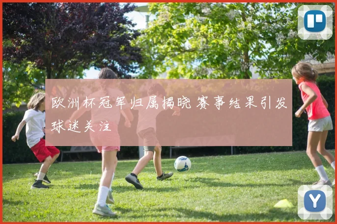 欧洲杯冠军归属揭晓 赛事结果引发球迷关注